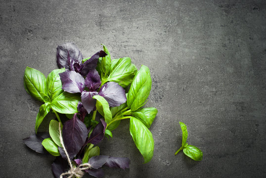 Green And Purple Basil.