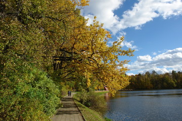 Colorful autumn landscape.Nature background