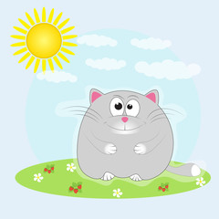 Cat sitting in the meadow  basking in the sun.