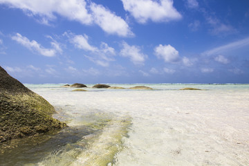 Clear water of Seychelles