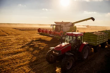 Foto op Plexiglas Tractor De tarwe oogsten
