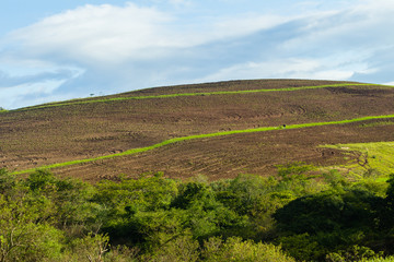 Fototapeta na wymiar Hillside Plowed Farming Landscape