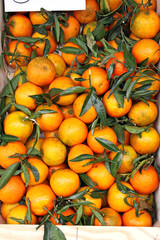 mandarinenkiste