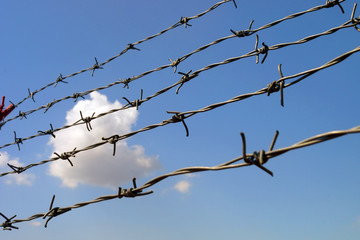 Barbed wire against the sky with cloud. Selective focus.
