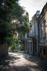 Obraz premium Empty street of the old town early summer morning, sun shines through the tree branches. Narrow street with beautiful buildings late 19th century.