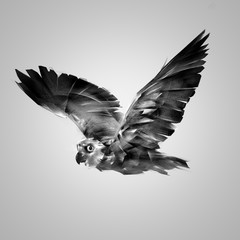 black and white realistic illustration of a flying owl