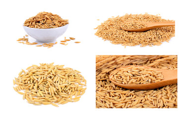 Paddy seeds  on white background