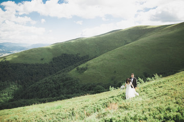 Fototapeta na wymiar Kissing wedding couple staying over beautiful landscape