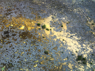 Unusual land surface, view from airplane