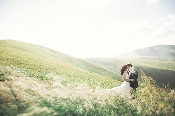 Beautiful wedding couple, bride and groom, in love on the background of mountains