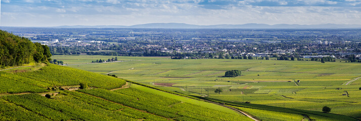 Colline de Corton