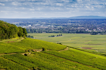 Obraz premium Colline de Corton