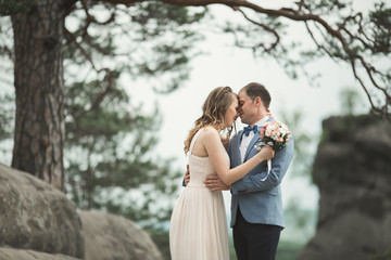 Gorgeous bride, groom kissing and hugging near the cliffs with stunning views