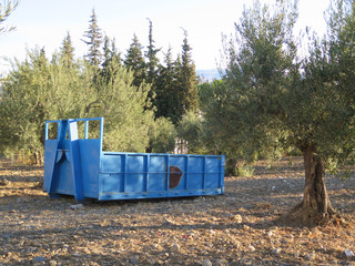 Builders skip in olive grove