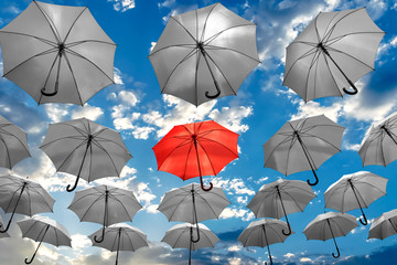 umbrella standing out from the crowd unique concept 