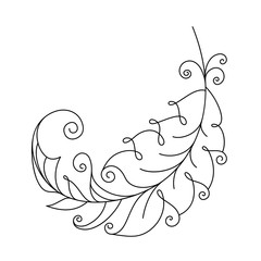 Flying feather on white