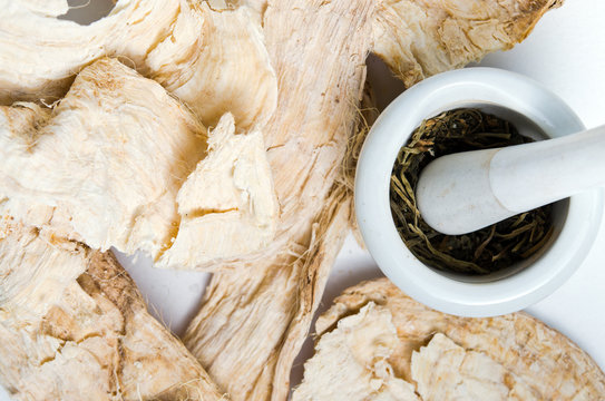 Pueraria mirifica or White Kwao Krua (Pueraria candollei Graham