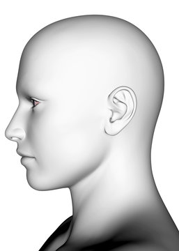 White Human Face - 3D