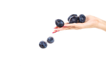Woman holding a plum on a white background. Plums fall out of yo