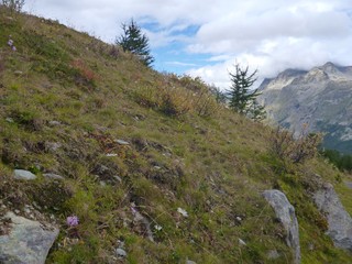 romantic alpine landscape in the autumn