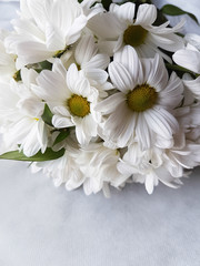 bouquet of white chrysanthemum flowers