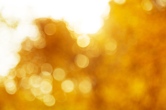 Autumn abstract background blur with sun natural bokeh
