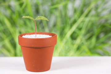 双葉　エコイメージ