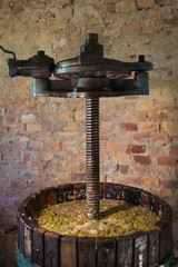 Fototapeta na wymiar Grape harvest: Wine press with white must and helical screw