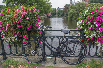 Fototapeta na wymiar Usual black city bike on the pavement near two flowerbed with pink and white flowers near the river