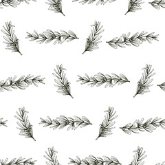Seamless vector pattern with hand drawn rosemary branches, herbs background