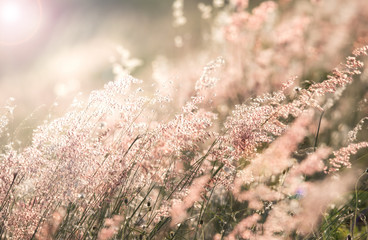 flowers with filter effect retro vintage style