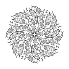 Vintage feather Mandala.