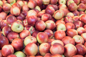 Group freshness sweet red and yellow peach