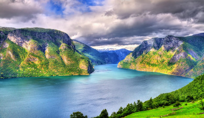 View of Aurlandsfjord from Stegastein viewpoint - Norway © Leonid Andronov