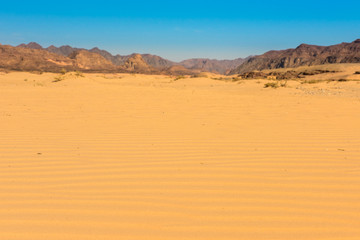 Sinai desert landscape