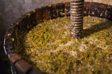 Fototapeta premium Grape harvest: Wine press with white must and helical screw