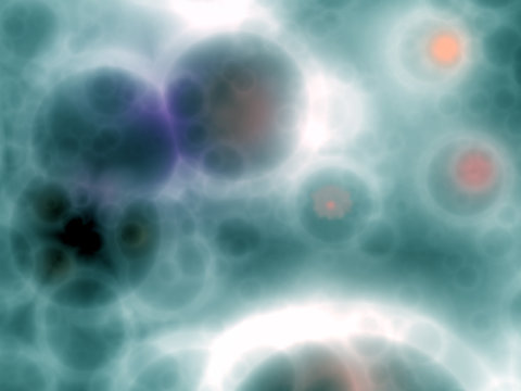 Micro organism cells