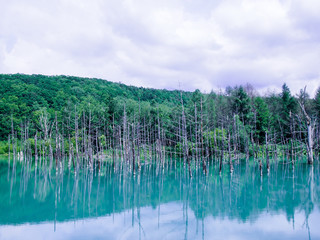 青い池