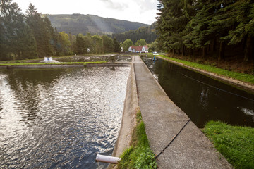 fish breeding ponds