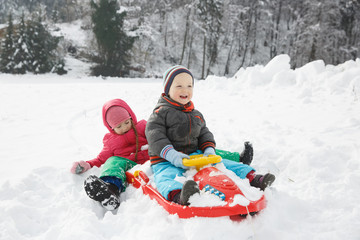 Brother and sister sledding in a snowy winter landscape