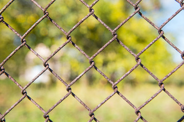 Fototapeta premium The Rusty metal grille fence macro and nature background
