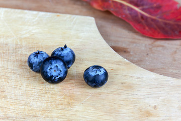 blueberries fresh close up