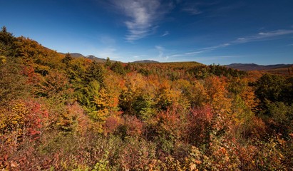 Colors of Autumn near Lower Falls at White Mountains , NH, USA 
