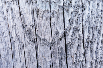 Old cracked surface of a wooden board.