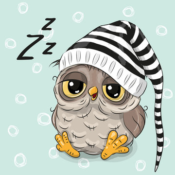 Sleeping cute Owl