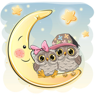 Two Cute Owls on the moon