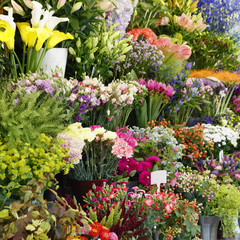 flower shop