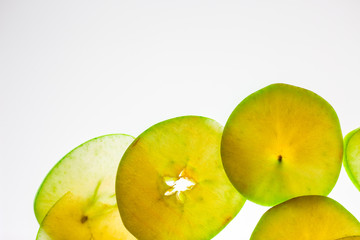 Apples cut into pieces.