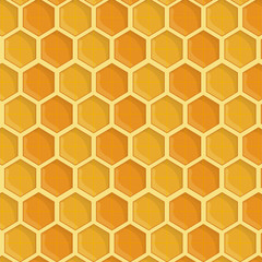 Honeycomb background. Honey healthy and organic food theme. Colorful design. Vector illustration