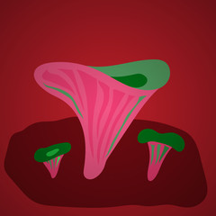 Vector illustration with mushrooms chanterelle on white background. Fresh organic food